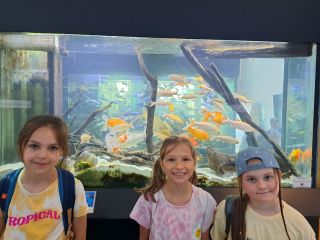 20240611_114939_resized